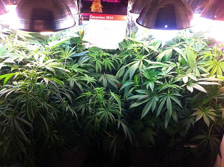 Click image for larger version

Name:	IMG_1160.JPG
Views:	229
Size:	2.64 MB
ID:	31492