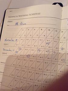 Click image for larger version

Name:	1B2663A0-18AB-4E57-B995-2BF7A2D2C29F.jpeg
Views:	128
Size:	884.4 KB
ID:	171260