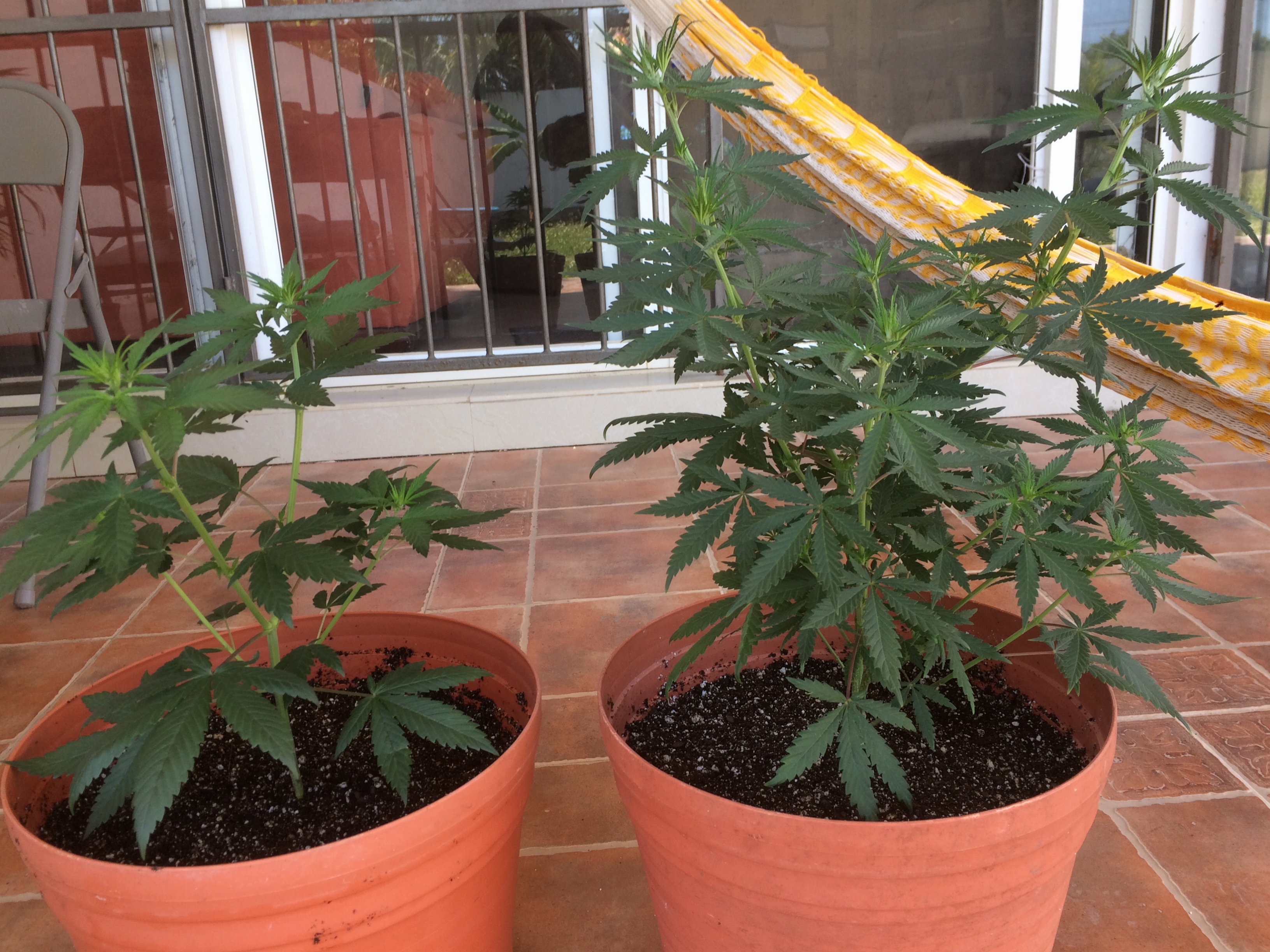 Click image for larger version

Name:	IMG_2072.JPG
Views:	165
Size:	4.33 MB
ID:	79519