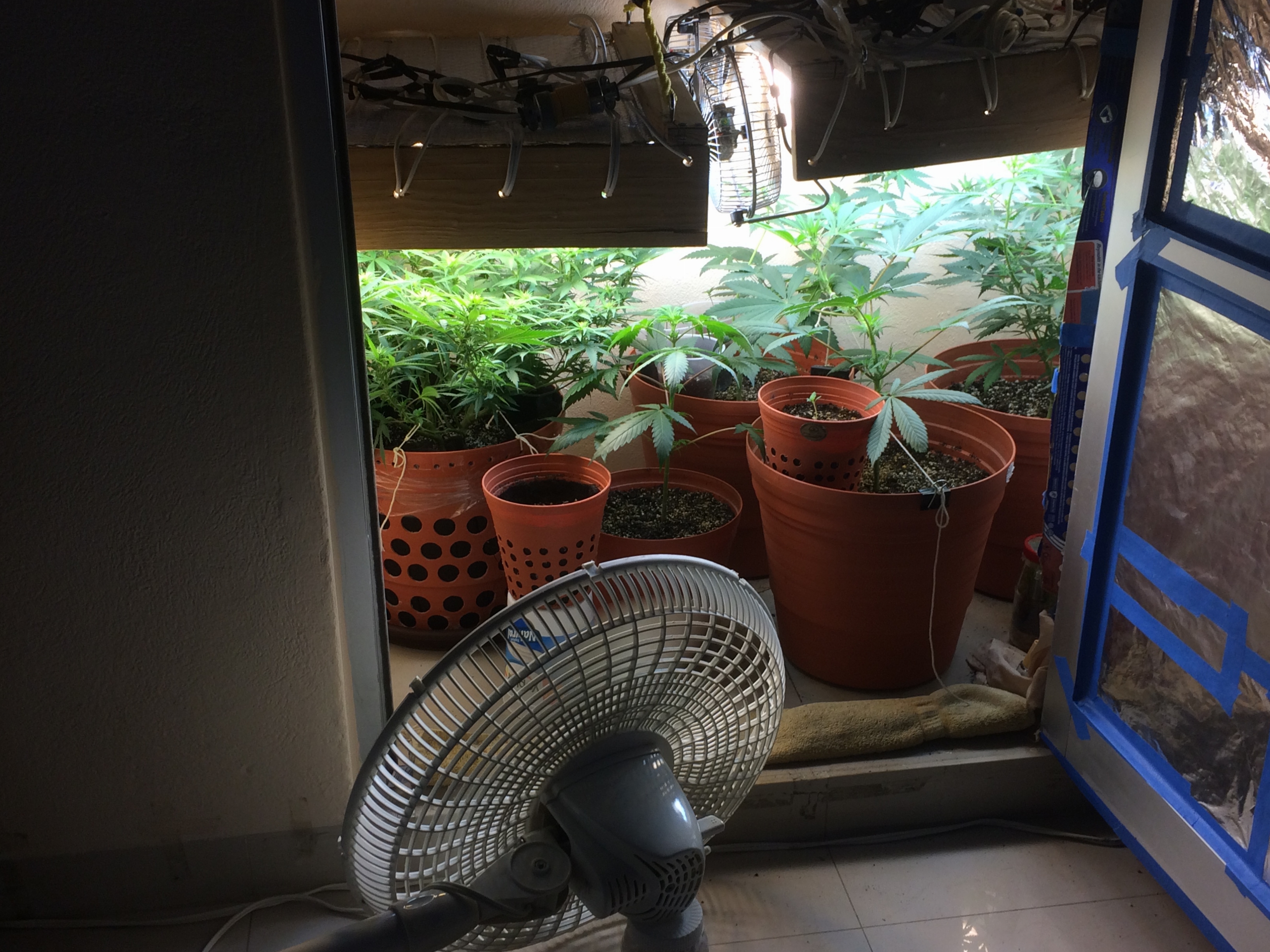 Click image for larger version

Name:	IMG_2086.JPG
Views:	177
Size:	3.59 MB
ID:	81410