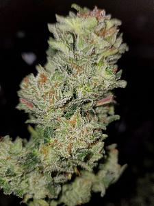 Click image for larger version

Name:	20200307_162800_copy_1209x1612.jpg
Views:	520
Size:	610.8 KB
ID:	381897