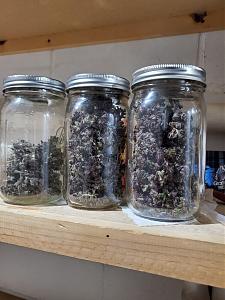 Click image for larger version

Name:	20200304_145742_copy_1209x1612.jpg
Views:	530
Size:	522.6 KB
ID:	381215