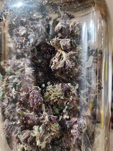 Click image for larger version

Name:	20200304_145751_copy_1209x1612.jpg
Views:	550
Size:	556.8 KB
ID:	381214