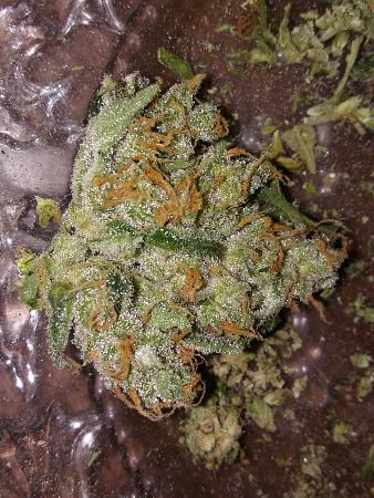 Click image for larger version

Name:	20190129_064848.jpg
Views:	206
Size:	3.16 MB
ID:	287620