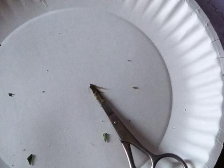 Click image for larger version

Name:	20170212_084356_HDR.jpg
Views:	229
Size:	3.49 MB
ID:	55252