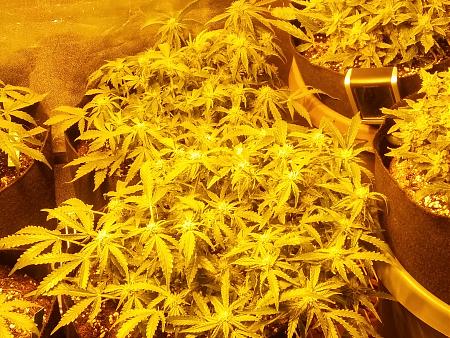 Click image for larger version

Name:	20170209_080211_HDR.jpg
Views:	204
Size:	8.32 MB
ID:	54156