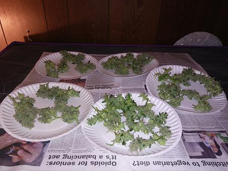 Click image for larger version

Name:	20170212_084142.jpg
Views:	188
Size:	6.88 MB
ID:	55253