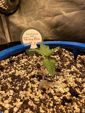 Click image for larger version

Name:	IMG_0692.jpg
Views:	0
Size:	1.08 MB
ID:	664415