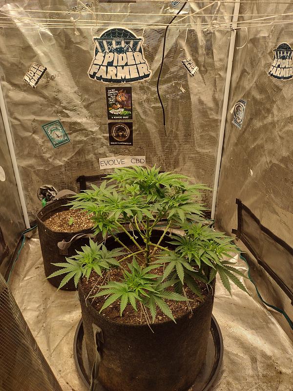 Click image for larger version

Name:	IMG_20260327_124049149_HDR.jpg
Views:	5
Size:	4.82 MB
ID:	664419