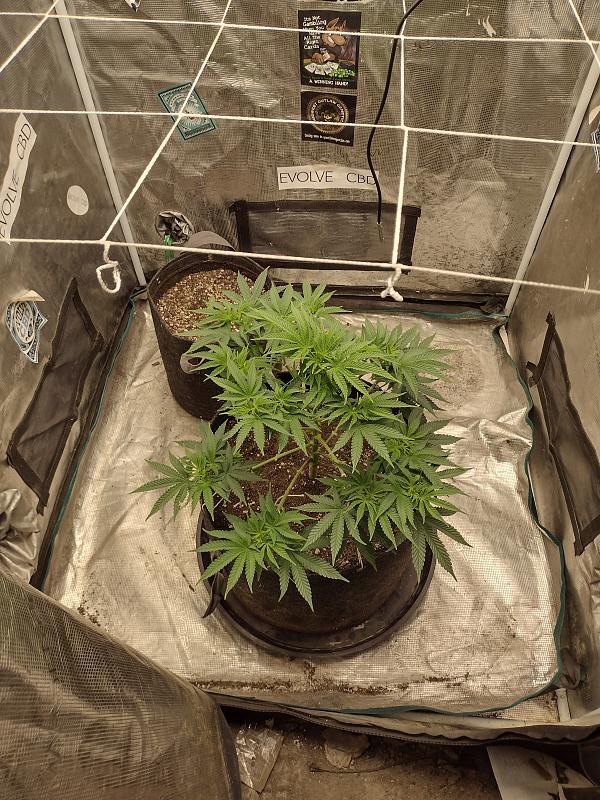 Click image for larger version

Name:	IMG_20260327_124035567_HDR.jpg
Views:	5
Size:	4.10 MB
ID:	664420