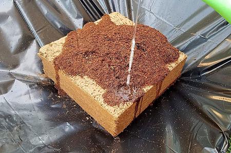 Click image for larger version  Name:	pure-coco-coir-adding-water.jpg Views:	1 Size:	485.0 KB ID:	664446