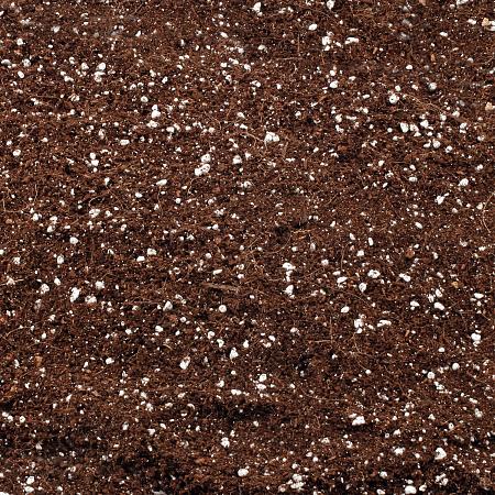 Click image for larger version  Name:	coco-coir-pile-70-coco-30-perlite.jpg Views:	1 Size:	1.14 MB ID:	664447