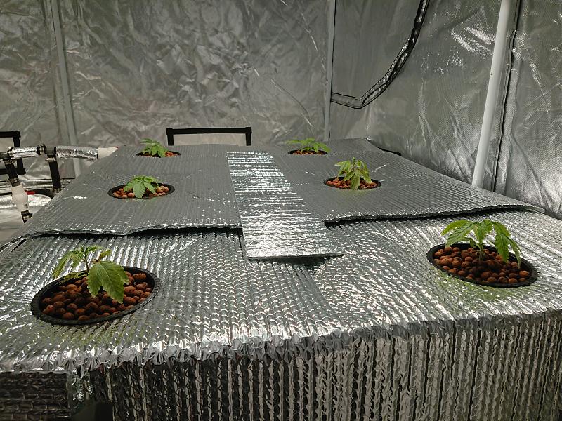 Click image for larger version

Name:	DSC_0675.JPG
Views:	339
Size:	3.14 MB
ID:	277911