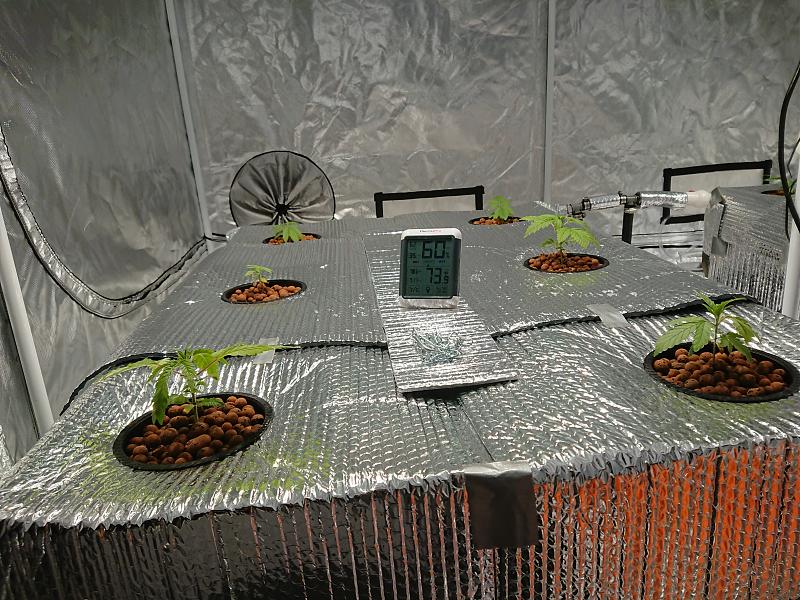 Click image for larger version

Name:	DSC_0676.JPG
Views:	353
Size:	2.96 MB
ID:	277910