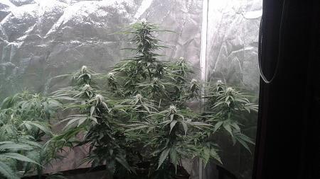 Click image for larger version

Name:	20180821_052251.jpg
Views:	229
Size:	761.2 KB
ID:	239322