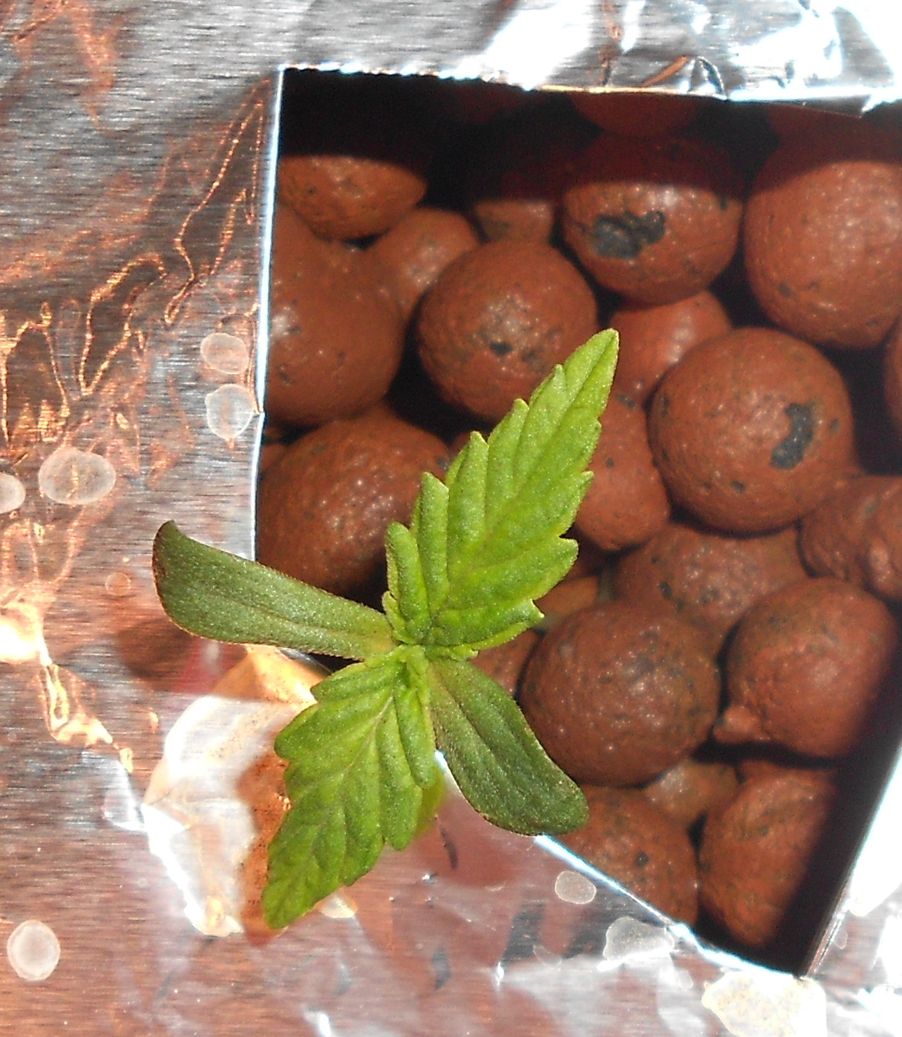 Click image for larger version

Name:	3 - Copy.jpg
Views:	201
Size:	531.0 KB
ID:	397311