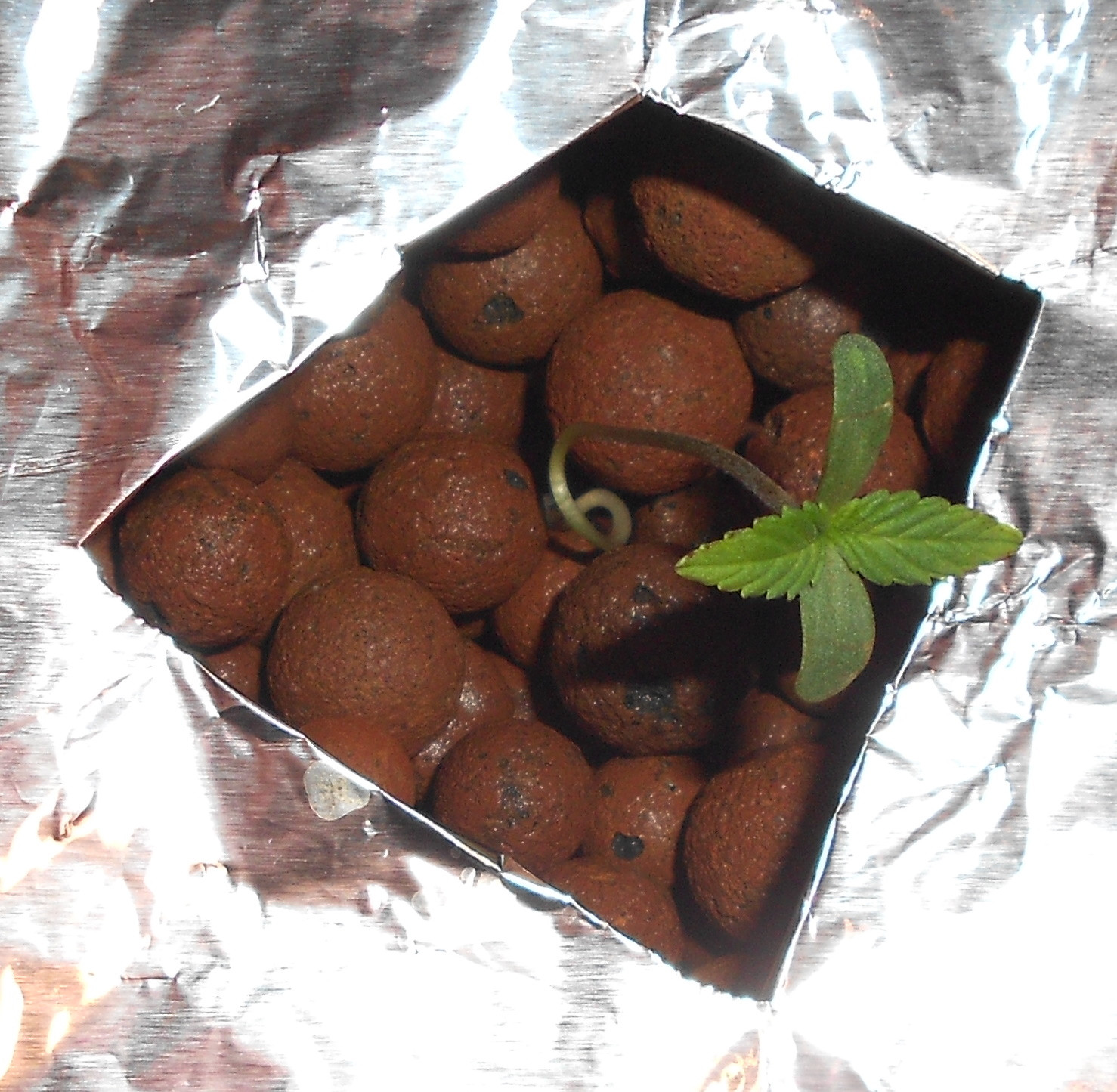 Click image for larger version

Name:	2 - Copy.jpg
Views:	182
Size:	506.2 KB
ID:	397310