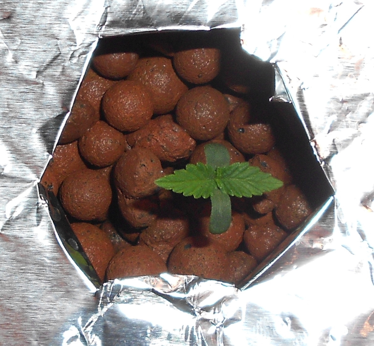 Click image for larger version

Name:	1 - Copy.jpg
Views:	206
Size:	357.2 KB
ID:	397309