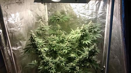 Click image for larger version

Name:	IMG_20180410_190055866.jpg
Views:	296
Size:	1.11 MB
ID:	194885