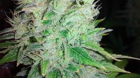 Click image for larger version

Name:	IMG_20180418_185630273.jpg
Views:	287
Size:	1,019.5 KB
ID:	197481