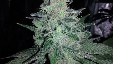 Click image for larger version

Name:	IMG_20180418_185640915.jpg
Views:	265
Size:	910.5 KB
ID:	197482