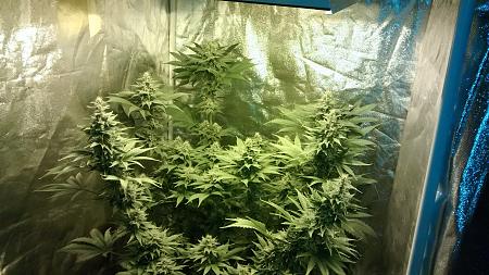 Click image for larger version

Name:	IMG_20180404_185744482.jpg
Views:	259
Size:	1.25 MB
ID:	192786