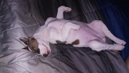 Click image for larger version

Name:	20180424_201332.jpg
Views:	218
Size:	2.11 MB
ID:	198765