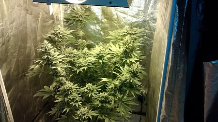 Click image for larger version

Name:	IMG_20180401_185830046.jpg
Views:	246
Size:	1.02 MB
ID:	191843