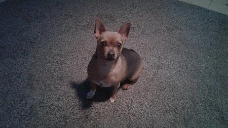 Click image for larger version

Name:	20180416_182534.jpg
Views:	268
Size:	752.8 KB
ID:	196401