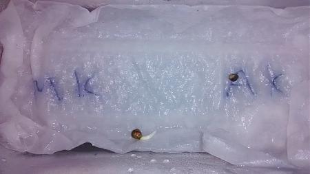 Click image for larger version

Name:	IMG_20180421_192938103.jpg
Views:	253
Size:	555.0 KB
ID:	197788