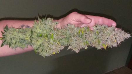 Click image for larger version

Name:	20180407_075815.jpg
Views:	273
Size:	1.25 MB
ID:	193675