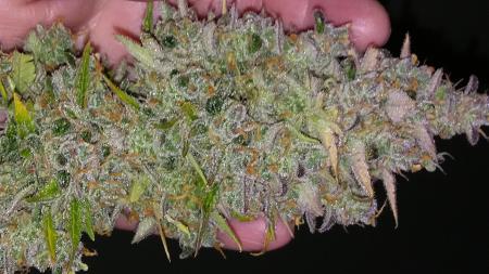 Click image for larger version

Name:	20180407_075837.jpg
Views:	271
Size:	1.88 MB
ID:	193676