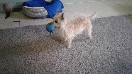 Click image for larger version

Name:	20180416_132154.jpg
Views:	258
Size:	836.1 KB
ID:	196400