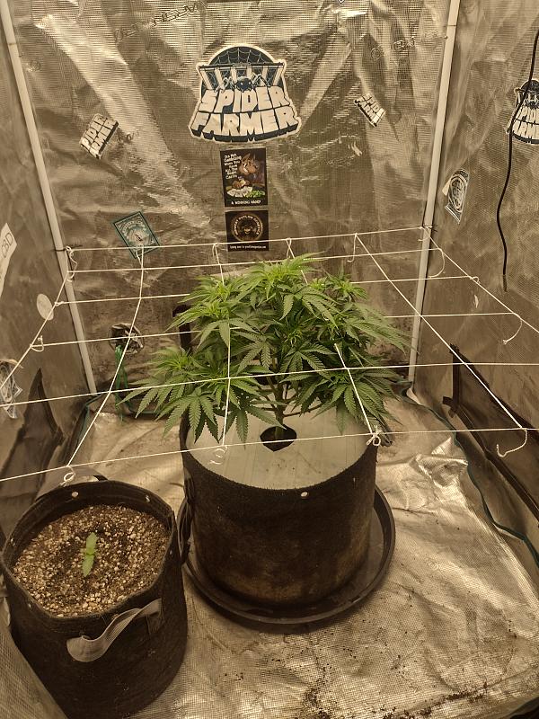 Click image for larger version

Name:	IMG_20260330_073324471_HDR.jpg
Views:	42
Size:	3.68 MB
ID:	664558