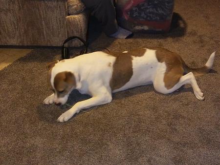 Click image for larger version

Name:	20190203_070126.jpg
Views:	200
Size:	2.63 MB
ID:	289177