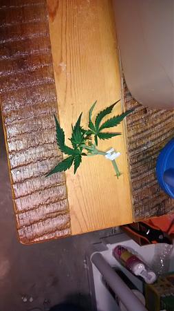 Click image for larger version

Name:	IMG_20180514_182116136.jpg
Views:	225
Size:	756.6 KB
ID:	204746