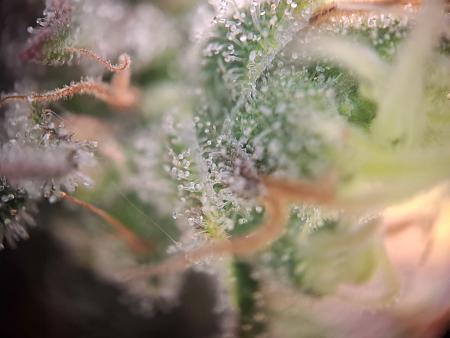 Click image for larger version  Name:	f01ee63d-c127-49a0-8e3a-1e17eb636e08.jpg Views:	0 Size:	196.0 KB ID:	664682