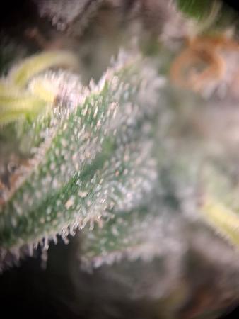 Click image for larger version  Name:	20fa61d1-b30d-4673-919e-48b0d99a4ec5.jpg Views:	0 Size:	174.4 KB ID:	664692