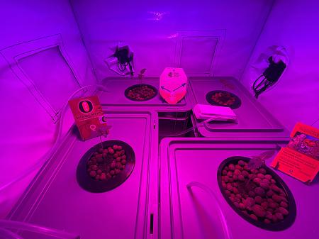 Click image for larger version  Name:	IMG_1435.jpg Views:	0 Size:	1.50 MB ID:	664686