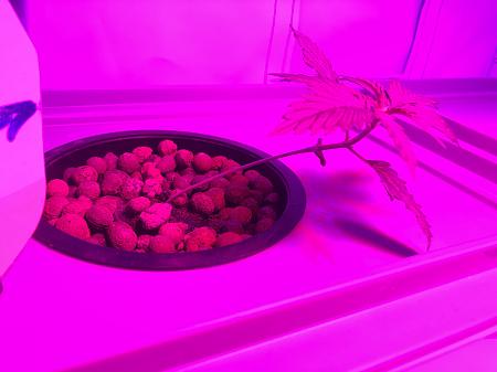 Click image for larger version  Name:	IMG_9039.jpg Views:	0 Size:	1.28 MB ID:	664687