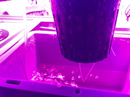 Click image for larger version  Name:	IMG_9041.jpg Views:	0 Size:	1.50 MB ID:	664689