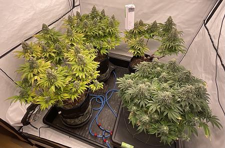 Click image for larger version

Name:	IMG_1428.jpg
Views:	15
Size:	1.97 MB
ID:	664698