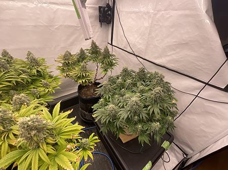 Click image for larger version

Name:	IMG_1429.jpg
Views:	15
Size:	3.46 MB
ID:	664700