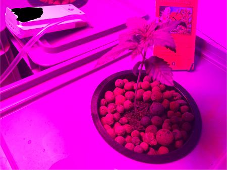 Click image for larger version

Name:	IMG_9040.jpg
Views:	0
Size:	561.7 KB
ID:	664702