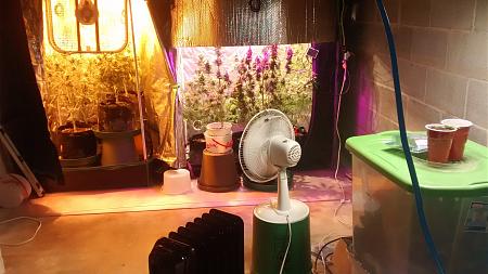 Click image for larger version

Name:	IMG_20180112_174643714.jpg
Views:	249
Size:	838.5 KB
ID:	163456