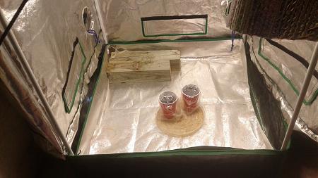 Click image for larger version

Name:	20180821_052017.jpg
Views:	235
Size:	687.1 KB
ID:	239324