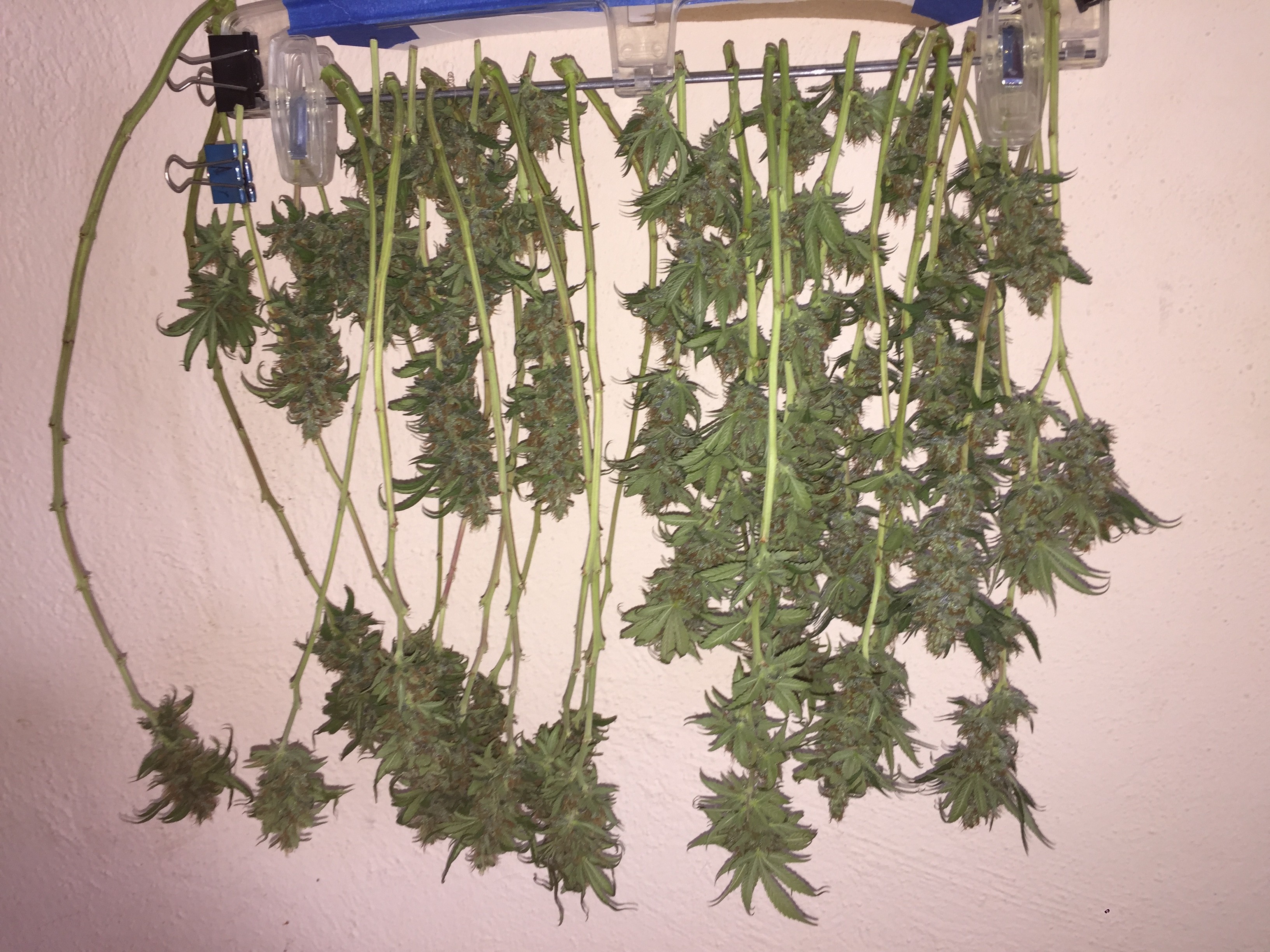 Click image for larger version

Name:	67512A61-8637-40B0-90ED-F8436CF113C7.jpeg
Views:	183
Size:	1.57 MB
ID:	230214