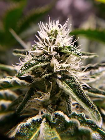 Click image for larger version

Name:	20190423_190739.jpg
Views:	366
Size:	2.53 MB
ID:	306902