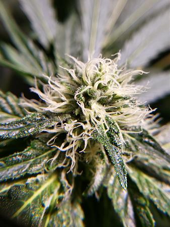 Click image for larger version

Name:	20190423_190510.jpg
Views:	377
Size:	2.49 MB
ID:	306901