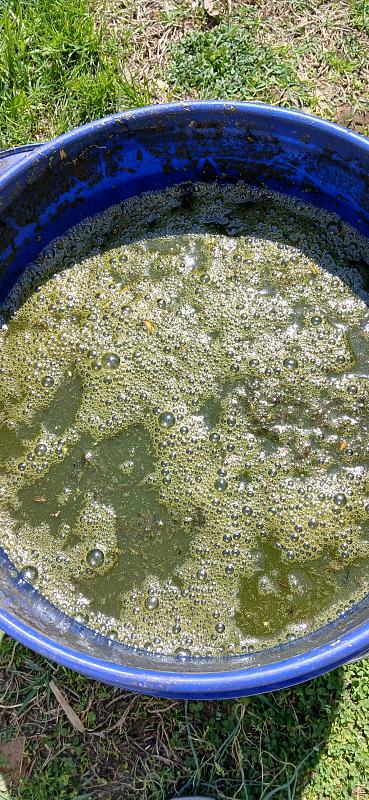 Click image for larger version  Name:	20260404_124215.jpg Views:	1 Size:	3.42 MB ID:	664840